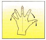 Permaneça na posição alongada por 10 segundos e depois repita o movimento três vezes, alternandoo primeiro para o lado do polegar, depois em direção ao dedo mínimo (figura 2C).