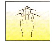 31 Introdução Fonte: POI (5) Figura 4. Exercício para a palma da mão.