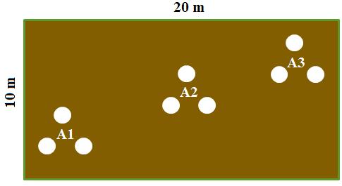78 Figura 14 Representação dos locais de coleta de solo dentro de uma parcela amostral e identificação das amostras compostas de solo A1, A2 e A3 As amostras de solo foram armazenadas em sacos