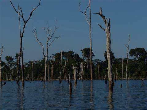 depois a inundação da floresta de terra firme