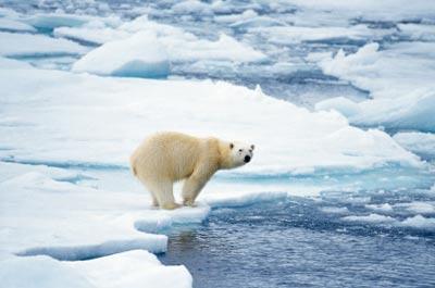 Por que a água do mar em algumas regiões polares, mesmo abaixo de 0 C não congela?