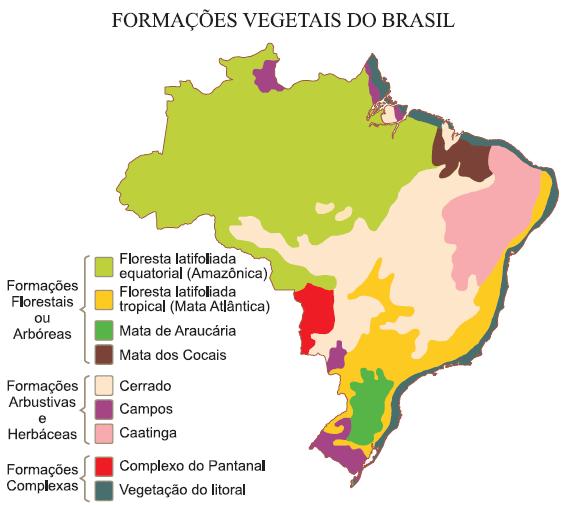 A distribuição dos tipos de vegetação é um reflexo das condições de solo, clima e relevo.