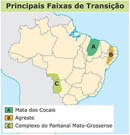 Faixa morfoclimática são áreas intermediárias entre as regiões