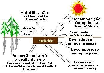 Tabela 1.