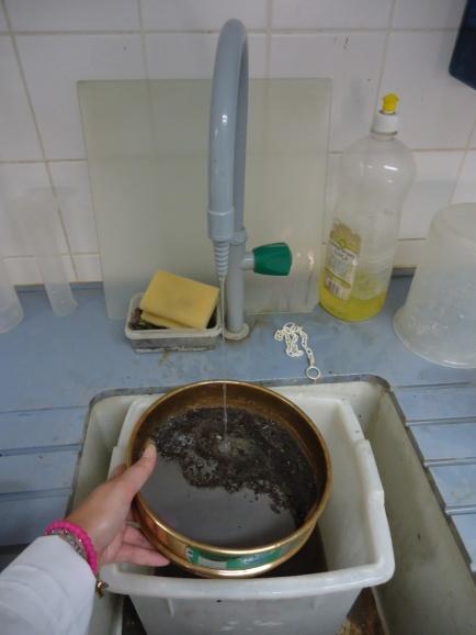 Deep Soil Mixing: Otimização do ligante num solo silto-argiloso 5) Secagem em estufa a 100±5ºC da amostra retida no peneiro de lavagem;