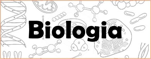 1. A figura abaixo mostra o membro anterior de diferentes mamíferos. Com base em seus conhecimentos sobre evidências da evolução, assinale o que for correto.