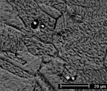 Figura 1 Micrografia eletrônica por MEV da liga CuNiSn analisado após etapa (F).