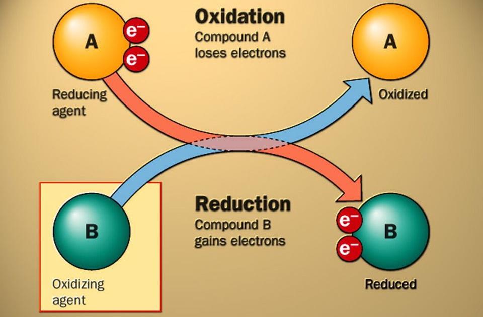 Formação de ATP METABOLISMO ENERGÉTICO Ocorre através de reações de óxido-redução Durante as reações do