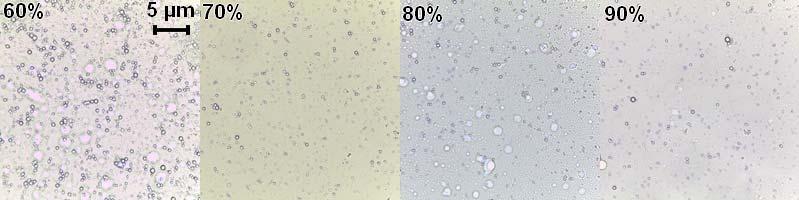 emulsões. Figura 2. Separação da fase aquosa da fase oleosa em diferentes concentrações de óleo % (m/m). 3.4 Microscopia e tamanho de gota A Fig.
