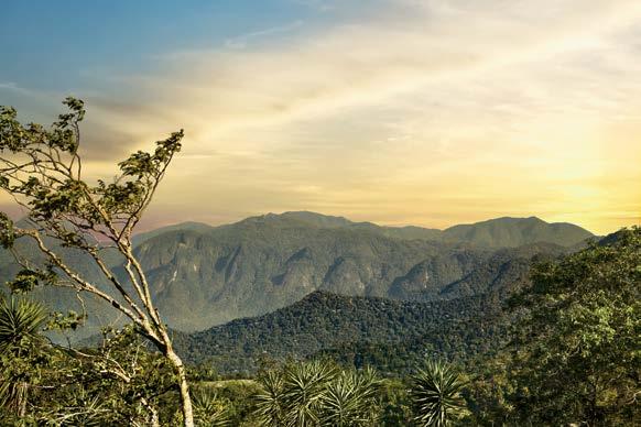 Um lugar em que a natureza traz o verde, o clima e o céu azul que se misturam ao melhor de uma cidade cercada de charme e cultura.