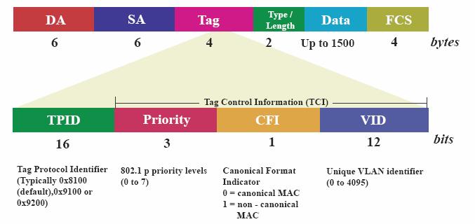 Protocolos Trunk q Os quadros nas interfaces Trunk são formatados em quadros especiais para identificar a quais LANs eles pertencem. q O IEEE 802.1Q é um protocolo para interface Trunk.