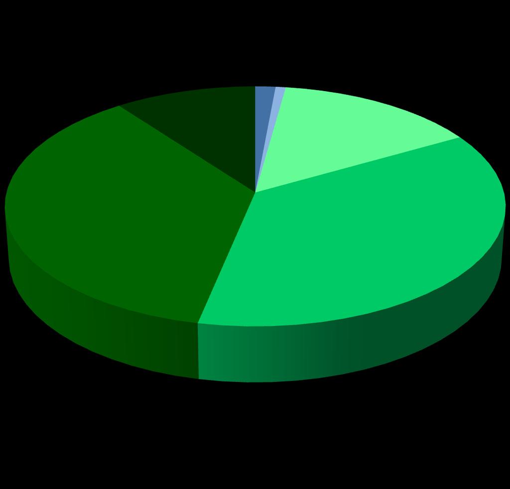 % de escolas visitadas segundo os diversos níveis de pontuação 1,46% 10,22% 0,73% 14,60% Índice de Qualidade