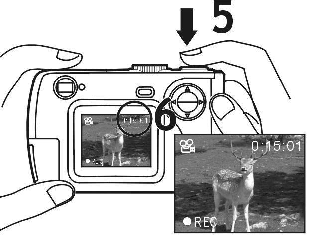 4 Posicione o alvo fotográfico no visor ou no LCD que a luz de fundo acedeu. 5.