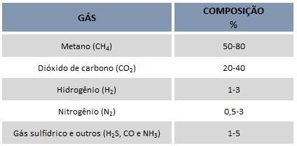 2) Produção de hidrogênio e gás de síntese a partir do gás associado do pré-sal e do bio-gás BIOGÁS Mistura