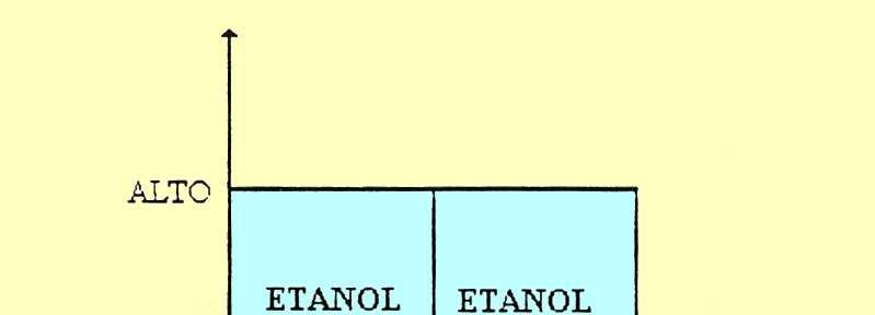 7. Fatores interferentes no metabolismo