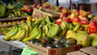 Ministério da Agricultura retira 2.600 toneladas de frutas e hortícolas do mercado: O Governo vai retirar do mercado 2.