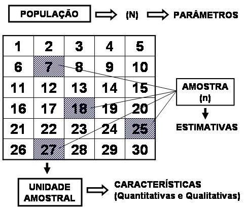 6 Figura 1.1 Organização estrutural de uma população, amostra e unidade amostral (Adaptado de PÉLLICO NETTO e BRENA, 1997). 1.3 MÉTODOS DE AMOSTRAGEM Método de amostragem, segundo PÉLLICO NETTO e BRENA (1997), significa a abordagem da população referente a uma única unidade amostral.