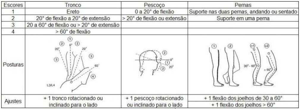 O método REBA (Rapid Entire Body Assessment), desenvolvido por HIGNETT & McATAMMEY (2000), contemplou a avaliação da atividade muscular estática adotada pelo corpo humano, as cargas manuseadas, as