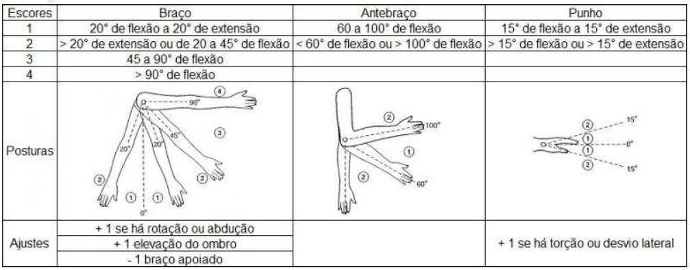 O método é composto por dois grupos de membros do corpo humano, sendo A (tronco, pescoço e pernas) e B (braços, antebraços e punhos), conforme a Figura 4. FIGURA 4.