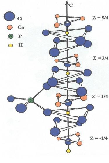 17 Tabela 1 - Principais fosfatos de cálcio. Nome Simbologia Fórmula Relação Ca/P Fosfato Monocálcio Monohidratado MCPM e MCPH Ca(H2PO4)2.