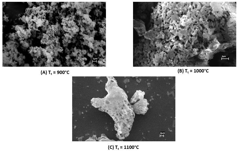 40 partículas. Em 900 ºC, as partículas estão aglomeradas e apresentam morfologia quase esférica. Em 1000 ºC, as partículas começam a se coalescer, perdendo a morfologia quase esférica.