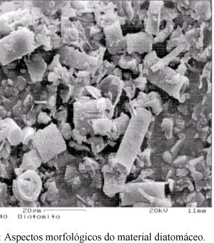 Nota-se que a superfície da partícula diatomácea (frústula) é escamosa com orifícios retangulares visíveis formando uma espécie de arranjo tipo colméia, os quais designam a elevada