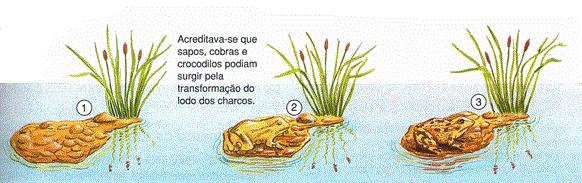 Por essa razão muitas teorias foram criadas a cerca da origem das espécies, do ser humano e até