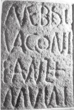 Mebdus é antropónimo etimologicamente hispânico, que já María Lourdes Albertos 3 referenciou, com três testemunhos, em genitivo 4 : CIL II 5556, de Vila Real; CIL II 5580 (= ILER 4139), de Cárquere