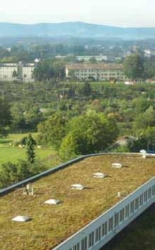 Telhados Verdes Foto: Foto: Travlr - CC Bens Naturais Comuns A cidade de Basileia, na Suíça, conta atualmente com uma área de um milhão de m² de telhados verdes em mais de 2.000 edifícios.