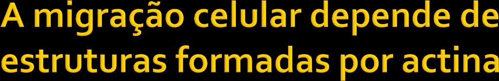 A movimentação celular se inicia pela formação de protusões celulares do tipo lamelipódio e filopódios, na direção na qual a célula vai se movimentar.