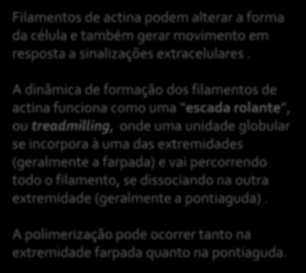 extremidades (geralmente a farpada) e vai percorrendo todo o filamento, se