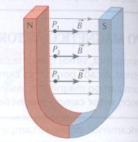 Campo magnético Linhas de campo magnético: São sempre linhas fechadas; Nunca se