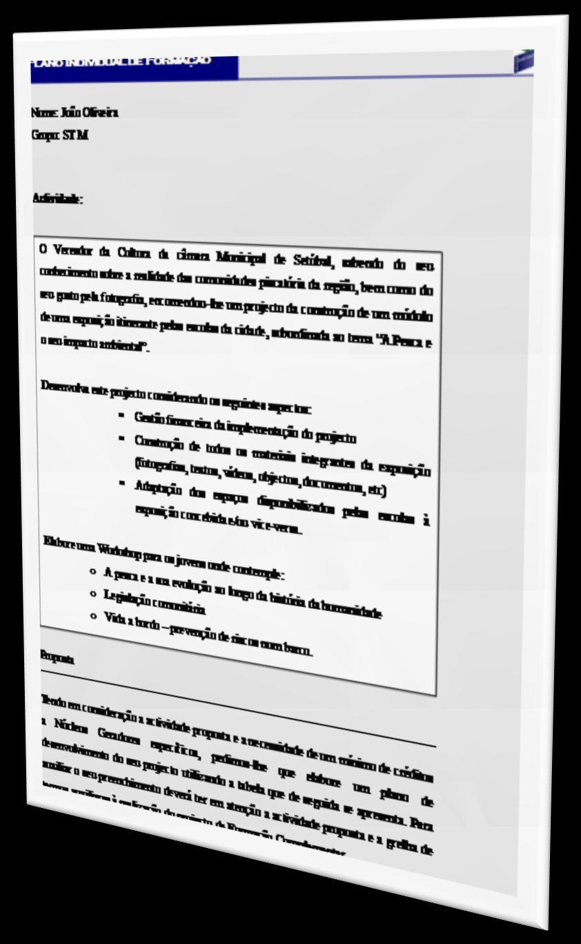 O Vereador da Cultura da câmara Municipal de Setúbal, sabendo do seu conhecimento sobre a realidade das comunidades piscatória da região, bem como do seu gosto pela fotografia, encomendou-lhe um