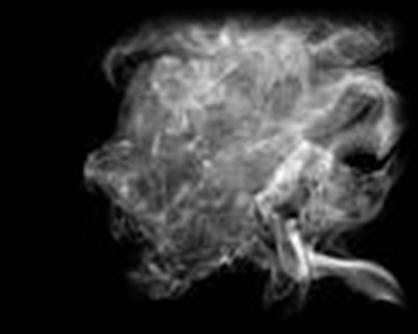 Epidemiologia do Tabagismo Segundo a Organização Mundial de Saúde (OMS), o tabagismo é a principal causa de morte evitável no mundo.