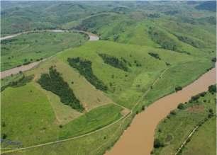 arbórea (ou densidade equivalente) superior a 10% e uma área de mais de 0,5 ha.