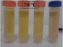 Enquanto que para o processo a 70ºC a vizualização da separação dessas fases não foi evidente, o que dificultou a distinção dos componentes presentes na mistura, sendo necessário um resfriamento para