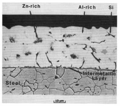 Figura 4: Microestrutura do revestimento Zn-55Al. [7] 2.4.2 Diagrama de Fases Zn-Al As ligas de zinco têm sido utilizadas para a obtenção de peças fundidas sob pressão.