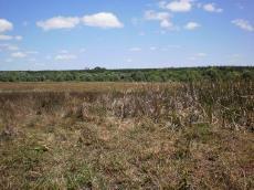 RIO DO SUL Situada no município de Nova Viçosa, Rio do Sul foi escopo do estudo de reavaliação de AAVCs devido a presença de duas lagoas (Figura 32), uma mata ciliar (Figura