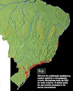 Situação da mata atlântica.