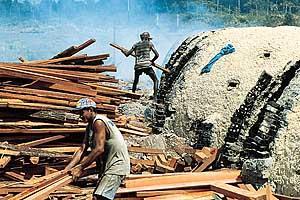 A produção de carvão vegetal, a partir do cerrado, devasta extensas áreas, principalmente em Minas e Goiás.