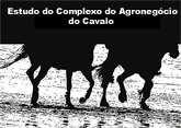 ESTUDO DO COMPLEXO DO AGRONEGÓCIO CAVALO OBJETIVOS: Conhecer as dimensões econômica e social do agronegócio cavalo;