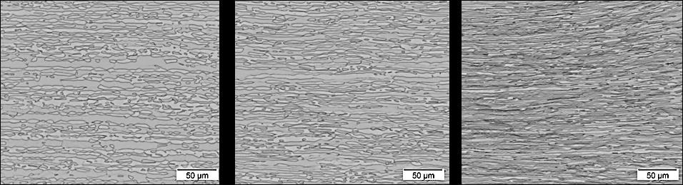 67 a) b) c) Figura 45 Micrografias da amostra solubilizada a