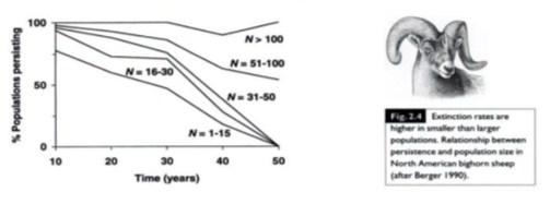 br Departamento de Biologia Geral, UFMG 2012 Populações estão em EHW quando: tamanho populacional é infinito; acasalamento é totalmente ao acaso; não há fluxo gênico; não há novas mutações ocorrendo;