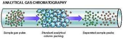 A fase móvel em cromatografia gasosa é denominada gás de arraste (sabe por que? Porque arrasta a amostra) e deve ser quimicamente inerte.
