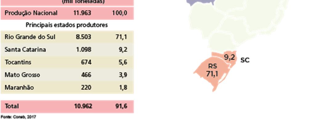 Nordeste, especialmente no estado do Ceará o arroz é irrigado e se concentra em perímetros de irrigação.