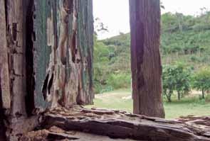 permanente de águas de chuva, aliado ao solo úmido e às prováveis cheias do córrego que passa ao lado.