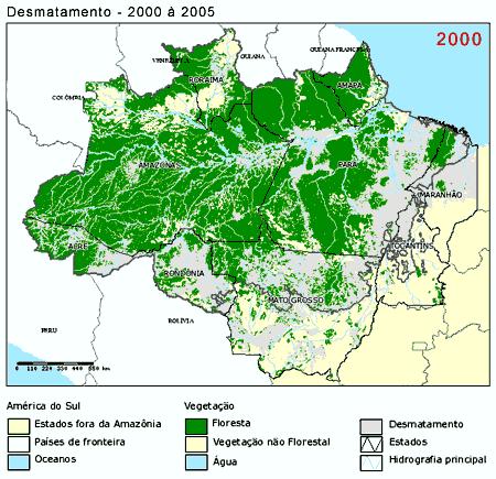 htm1 Quais serão os planos do governador do Pará para estancar a devastação da floresta Amazônica,
