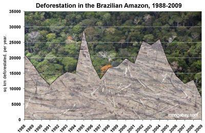 Desmatamento da Amazônia Brasileira em Km 2 Transporte