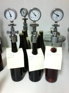 Figura 16 Controlo da cinética de fermentação em laboratório.
