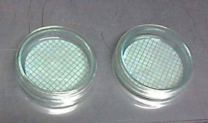 Figura 23- Resultados da análise microbiológica da amostra do filtro de membranas e amostra de linha respetivamente.